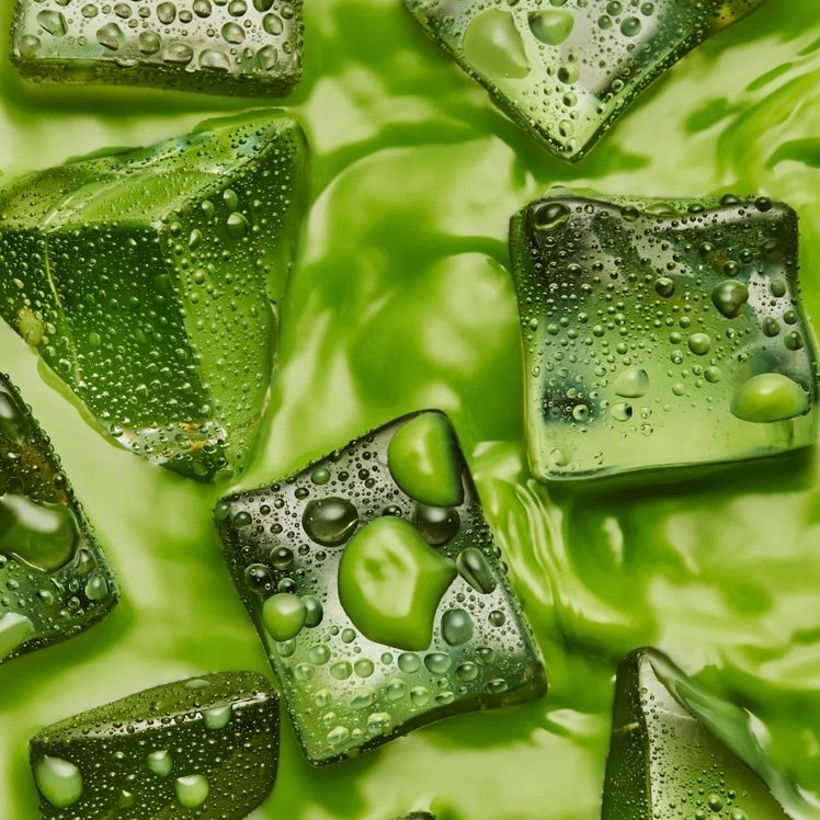 Ceremonial Matcha Cherry